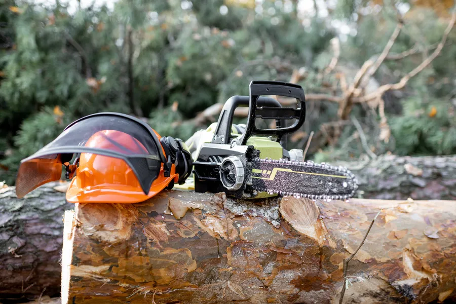 Local Tree Cutting Service Santa Rosa, CA Local Tree Cutting Service Santa Rosa, CA