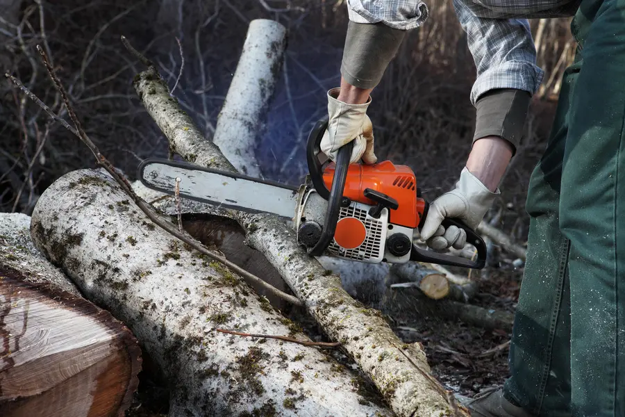 Premium Tree Cutting Service Santa Rosa, CA Premium Tree Cutting Service Santa Rosa, CA