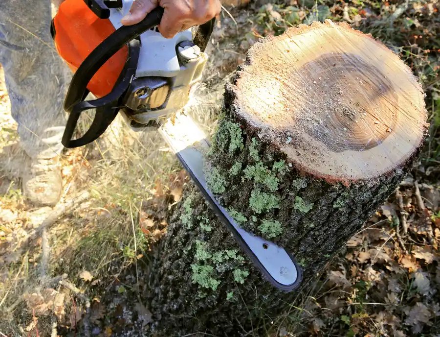 Reliable Tree Cutting Service Santa Rosa, CA Reliable Tree Cutting Service Santa Rosa, CA