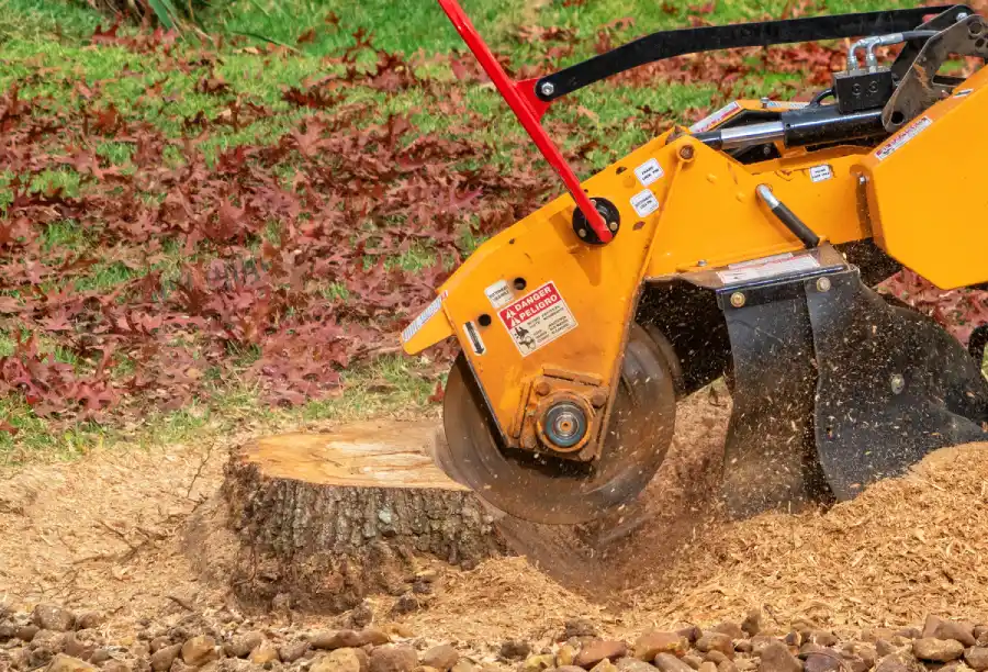 Stump Removal Service