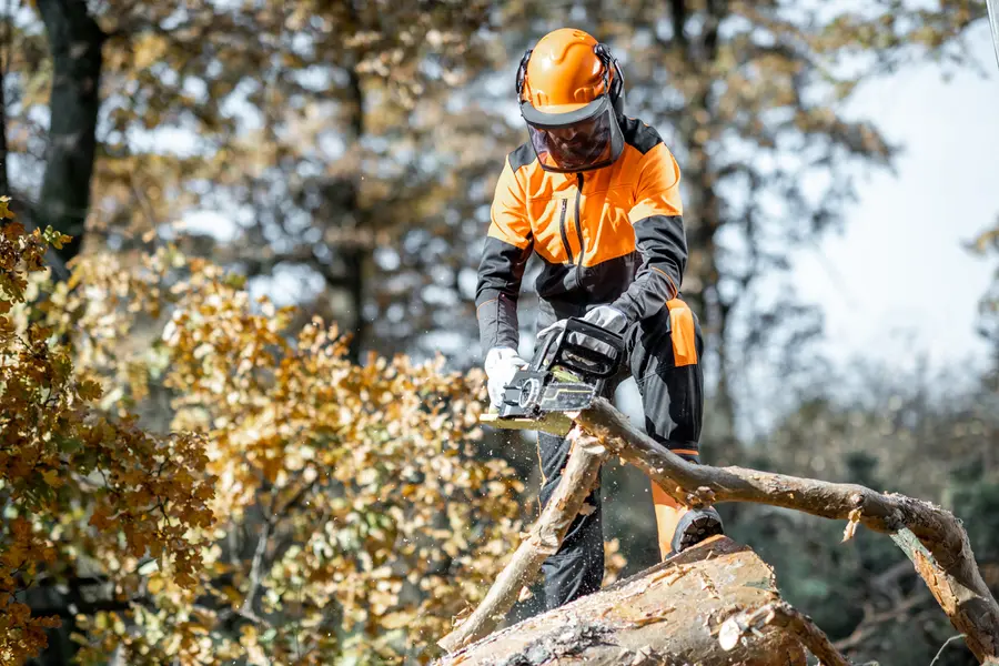 Tree Cutting Service For Storm Damaged Trees Santa Rosa, CA Tree Cutting Service For Storm Damaged Trees Santa Rosa, CA