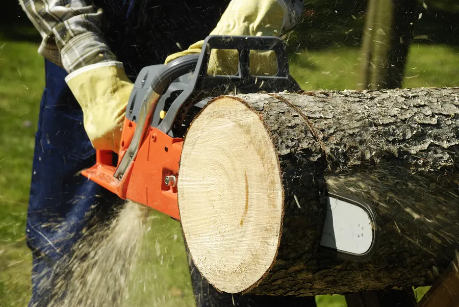 Tree Cutting Service For Storm Damaged Trees in Santa Rosa, CA Tree Cutting Service For Storm Damaged Trees in Santa Rosa, CA
