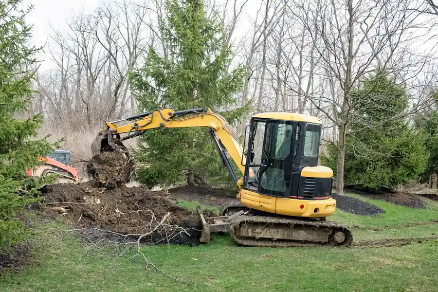 What Happens During Stump Removal Service Santa Rosa, CA What Happens During Stump Removal Service Santa Rosa, CA